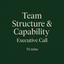 Team Structure & Capability - Executive Call (75 Minutes)